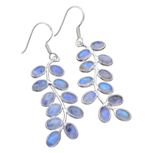 עגילי אבן הירח