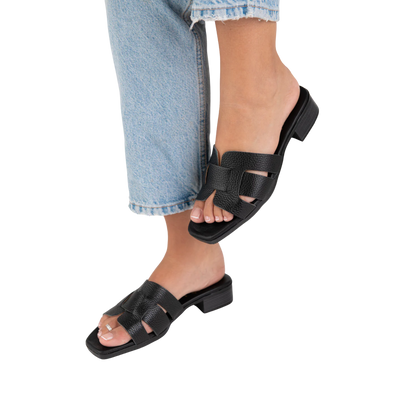 אריאלה סטפס