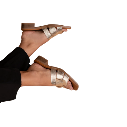 אריאלה סטפס