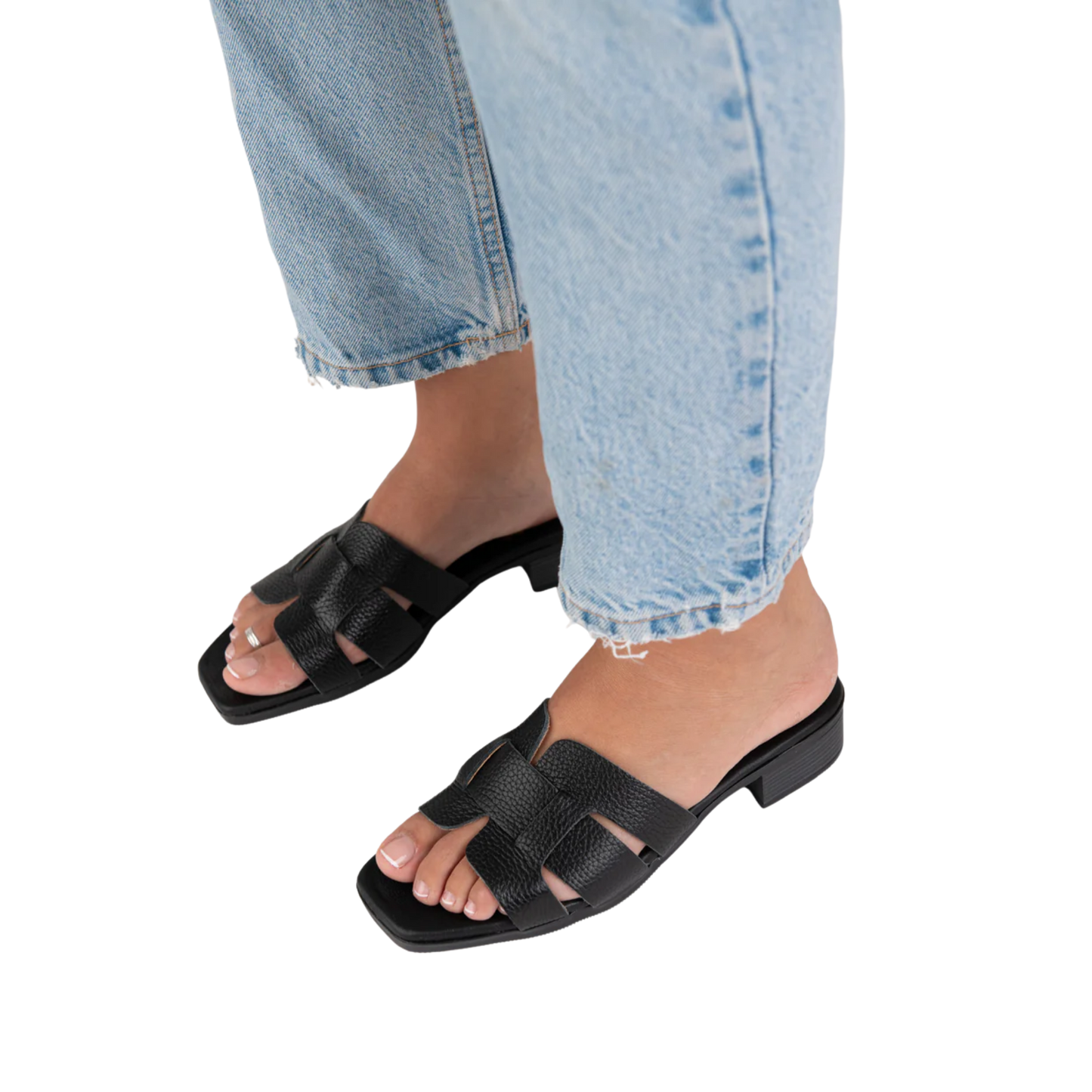 אריאלה סטפס