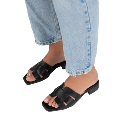 אריאלה סטפס