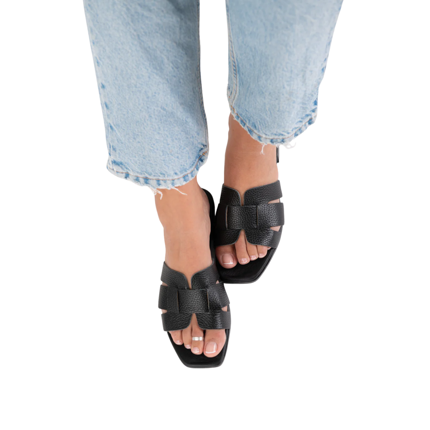 אריאלה סטפס