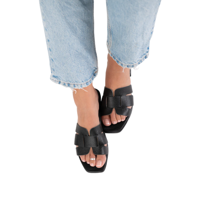 אריאלה סטפס