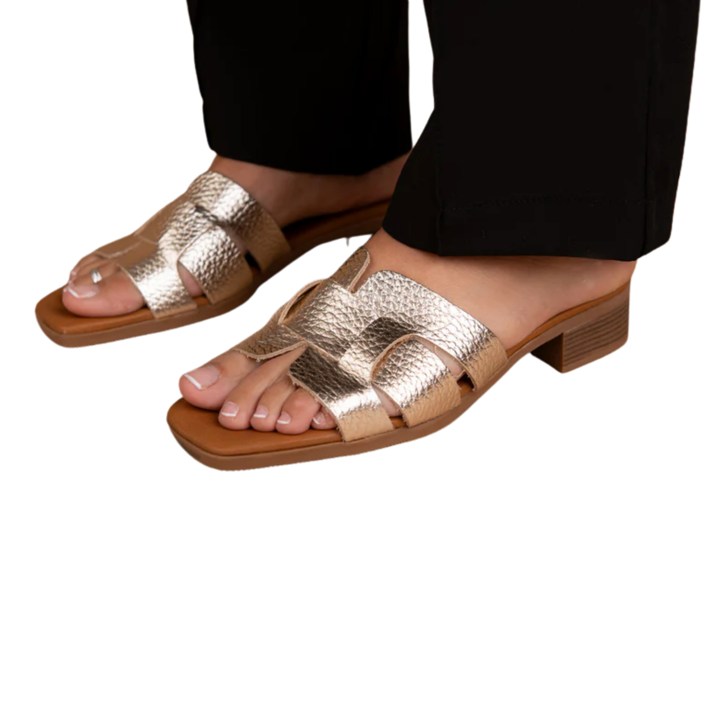 אריאלה סטפס