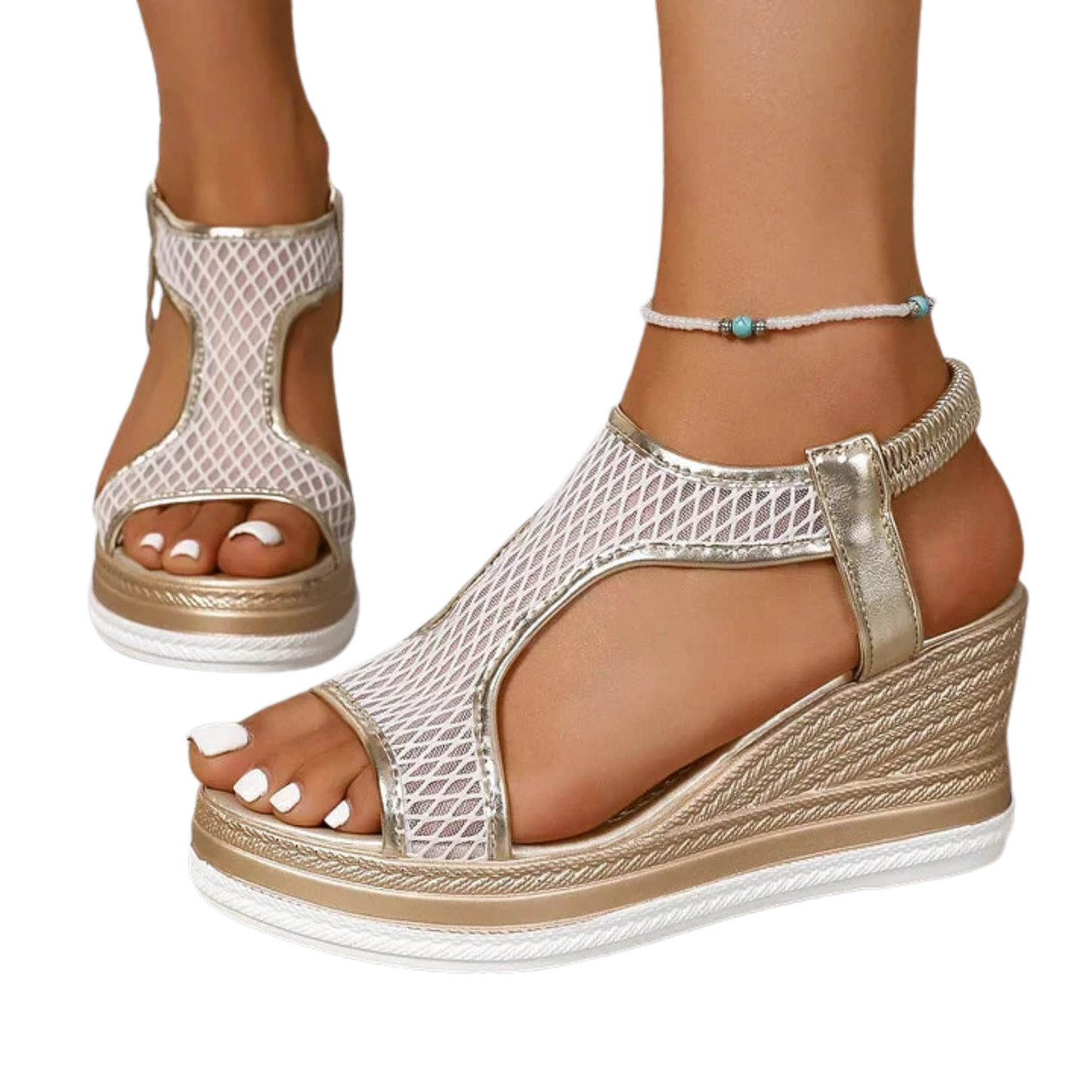 פמליה אורטולוקס