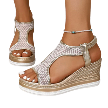 פמליה אורטולוקס