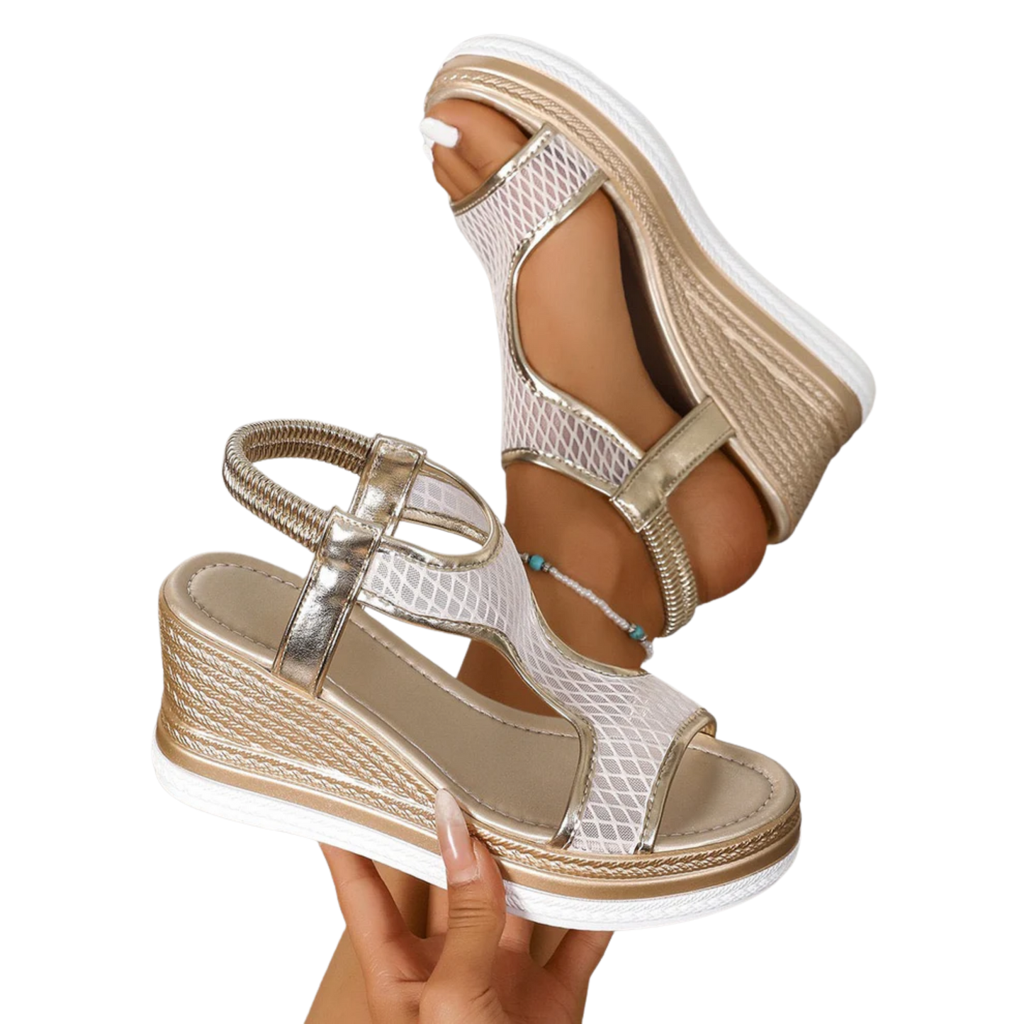 פמליה אורטולוקס