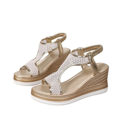 פמליה אורטולוקס