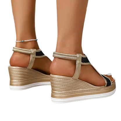 פמליה אורטולוקס