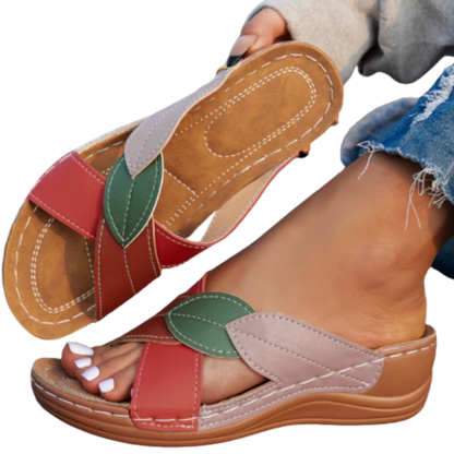 מרילזה אורטולוקס