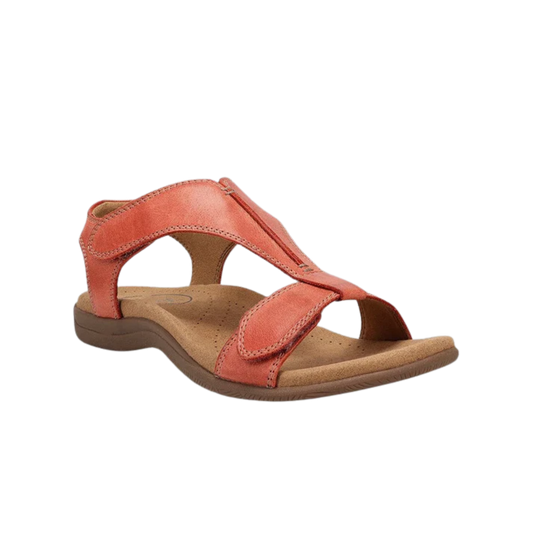 סנדלים של מטילדה אורתו